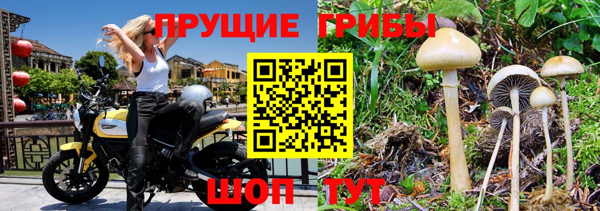 Россошь  Галлюциногенные грибы Magic Shrooms  Вход с VPN 